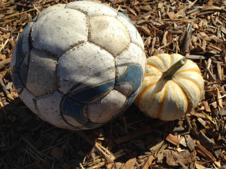 Nipomo Pumpkin Patch ornamental 2